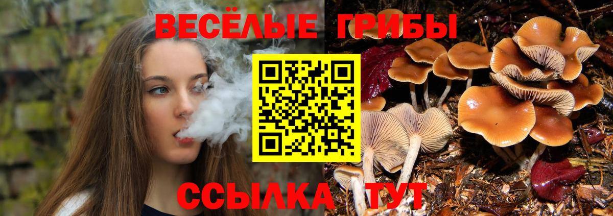 Ирбит  Псилоцибиновые грибы мицелий  что такое   Вход с VPN 